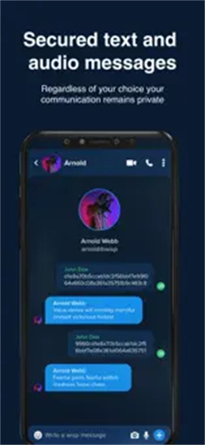 Wispr 功能特色