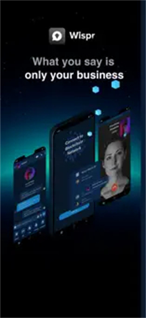 Wispr UI 界面